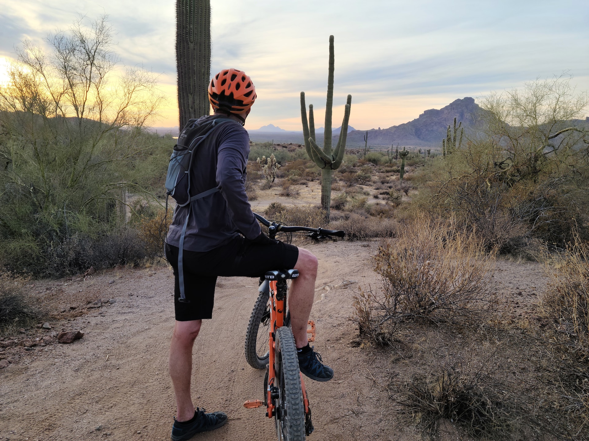 mountain biking in arizona